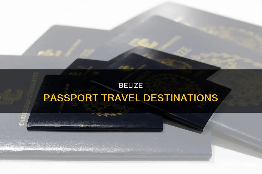 where can I travel with belize passport