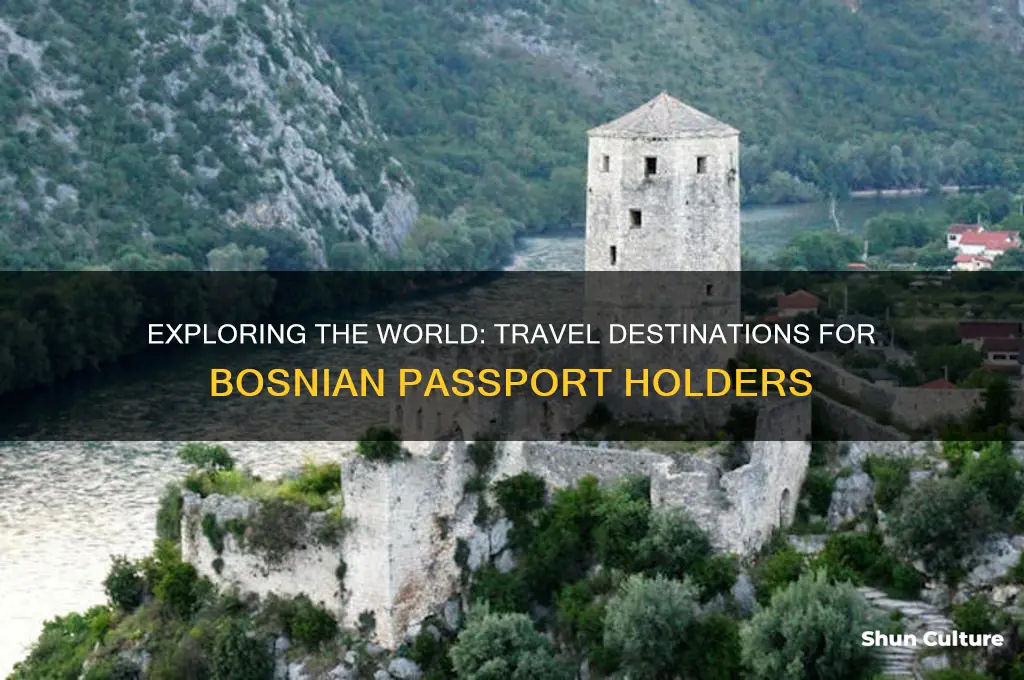 where can I travel with bosnian passport