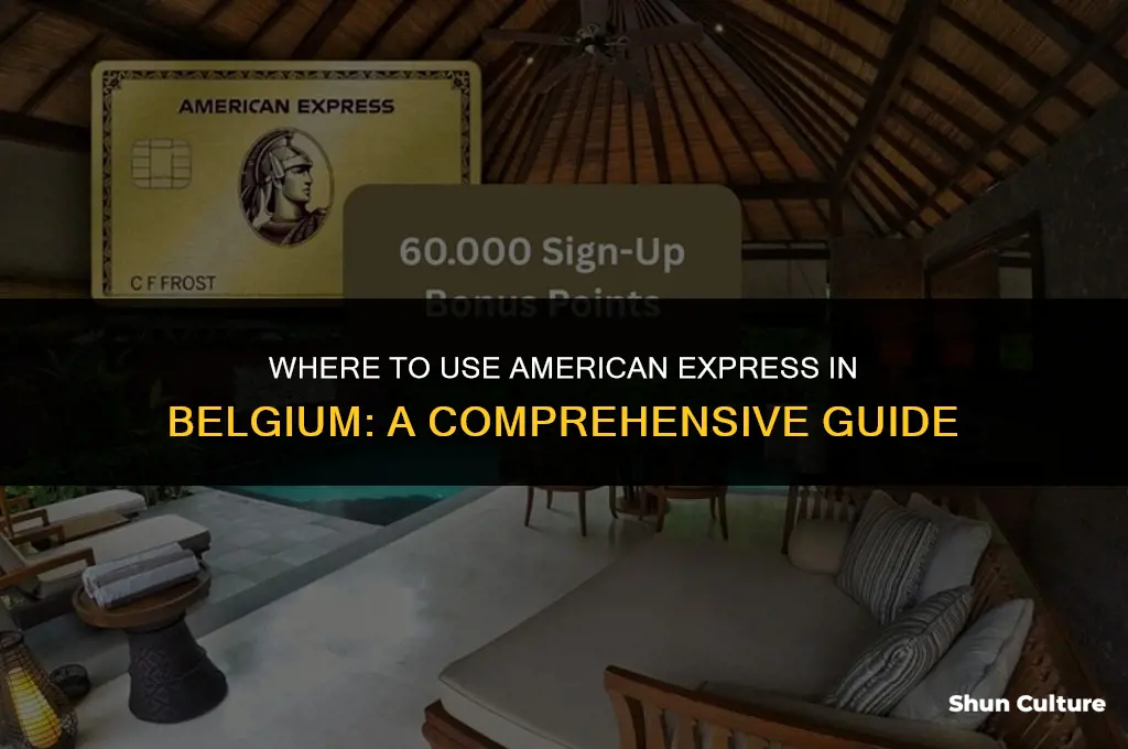 where can I use amex in belgium