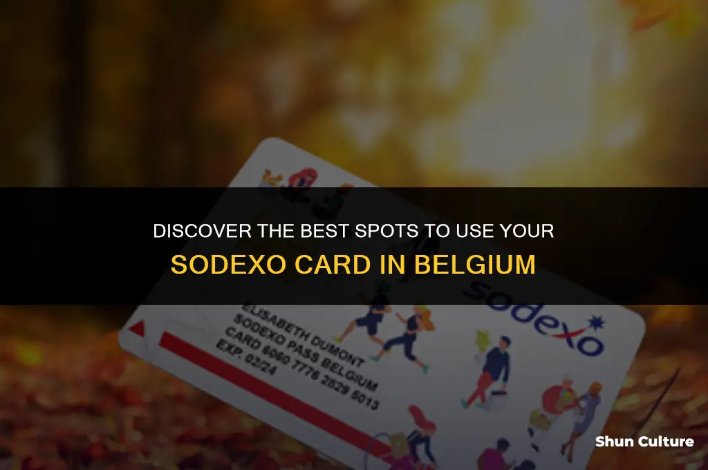 where can I use my sodexo card in belgium