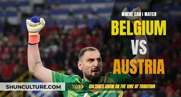 Belgium vs. Austria: Where to Watch the Match