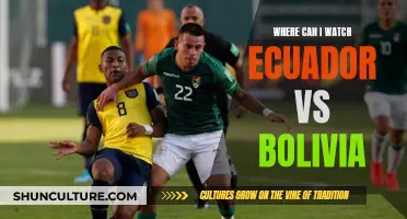 Streaming Ecuador vs Bolivia: Best Platforms to Watch