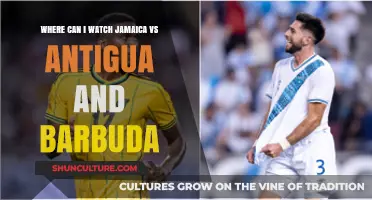Jamaica vs Antigua and Barbuda: Where to Watch the Match Live