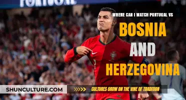 Where to Watch Portugal vs Bosnia and Herzegovina Live: Streaming Guide