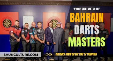 Best Platforms to Watch Bahrain Darts Masters