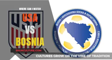 USA vs Bosnia Live Stream: Where to Watch the Match