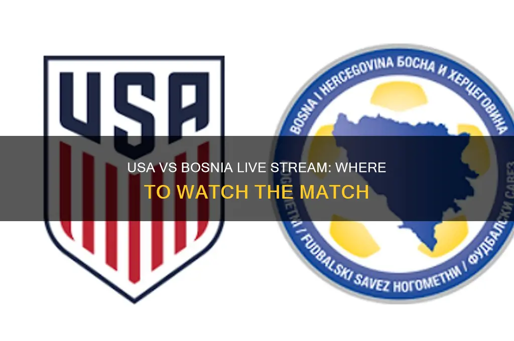 where can I watch usa vs bosnia