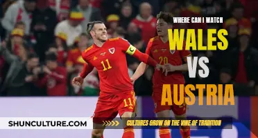 Best Live Streaming Options for Wales vs Austria