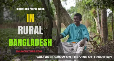 Exploring Rural Bangladesh: Diverse Work Opportunities in Countryside Communities
