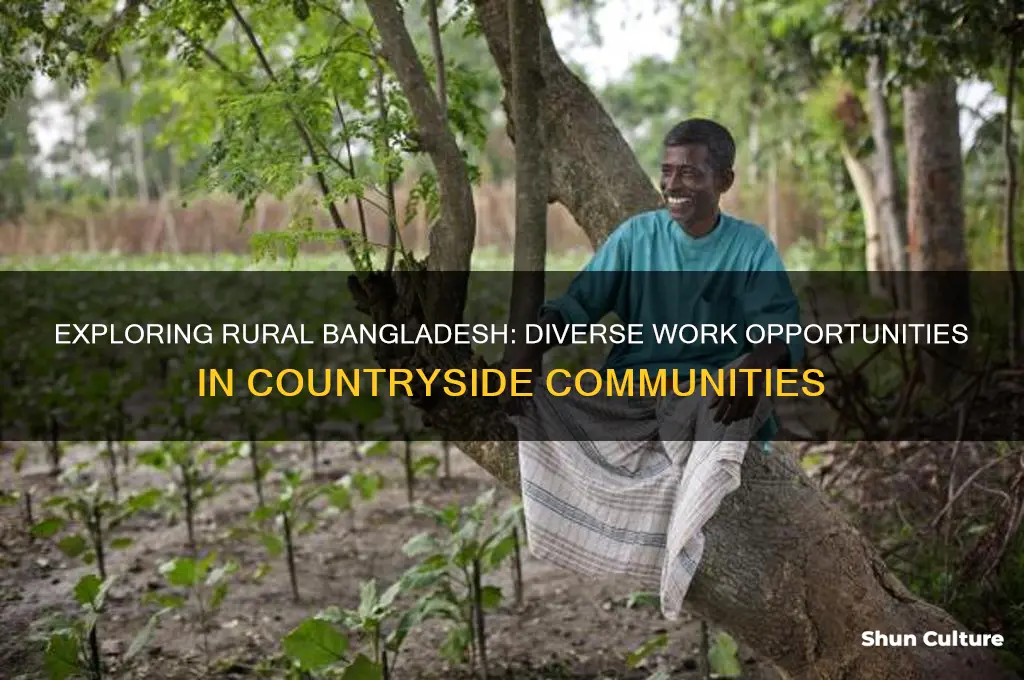 where can people work in rural bangladesh