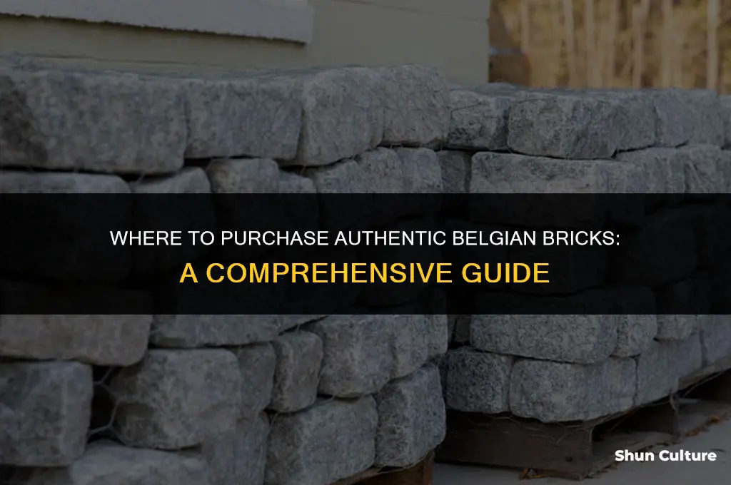 where can you buy belgium bricks