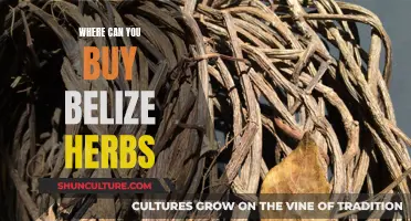 Belize Herbs: Where to Buy