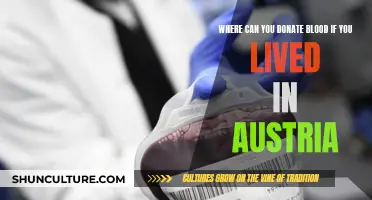 Donating Blood in Austria: Where to Go?