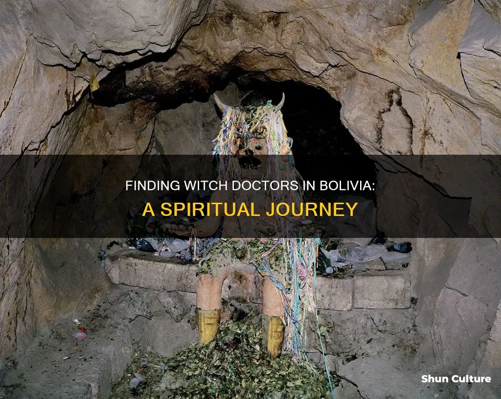 where can you find a witch doctor in bolivia