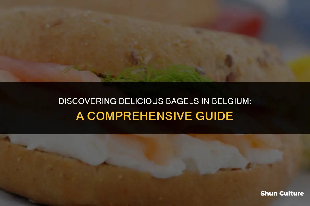 where can you find bagels in belgium