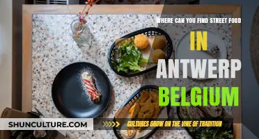 Discover Antwerp's Street Food Scene: A Local's Guide