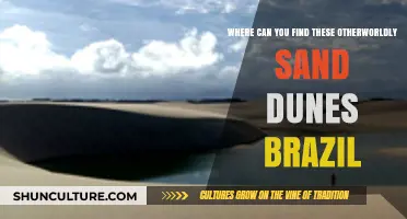Discover Brazil's Hidden Gem: Otherworldly Sand Dunes Locations Revealed