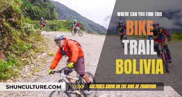 Exploring Bolivia's Bike Trails: An Adventure Unveiled