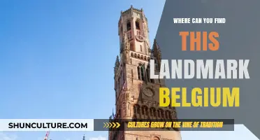 Discovering Belgium's Hidden Gem: A Journey to [Landmark Name]
