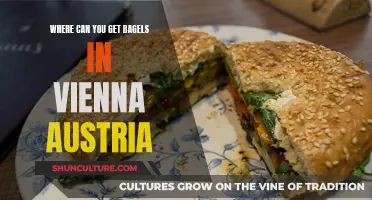 Viennese Bagel Spots: Where to Get Yours
