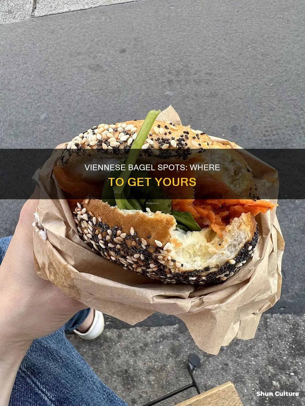 where can you get bagels in vienna austria