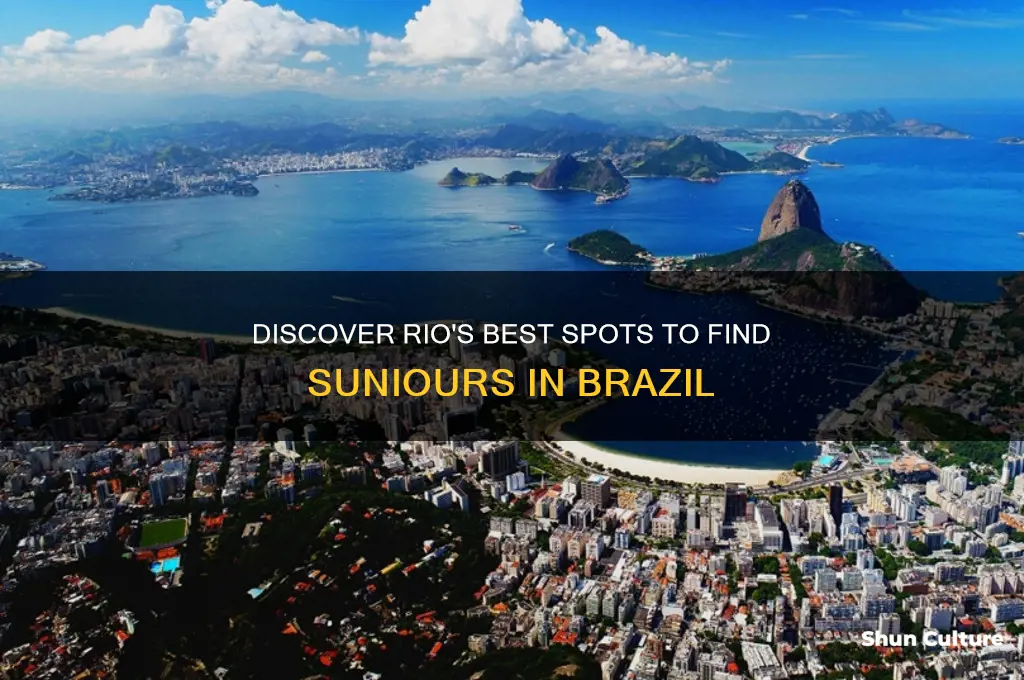 where can you get suniours in rio brazil