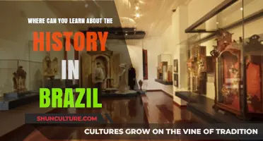 Exploring Brazil's Rich History: Top Museums and Cultural Sites