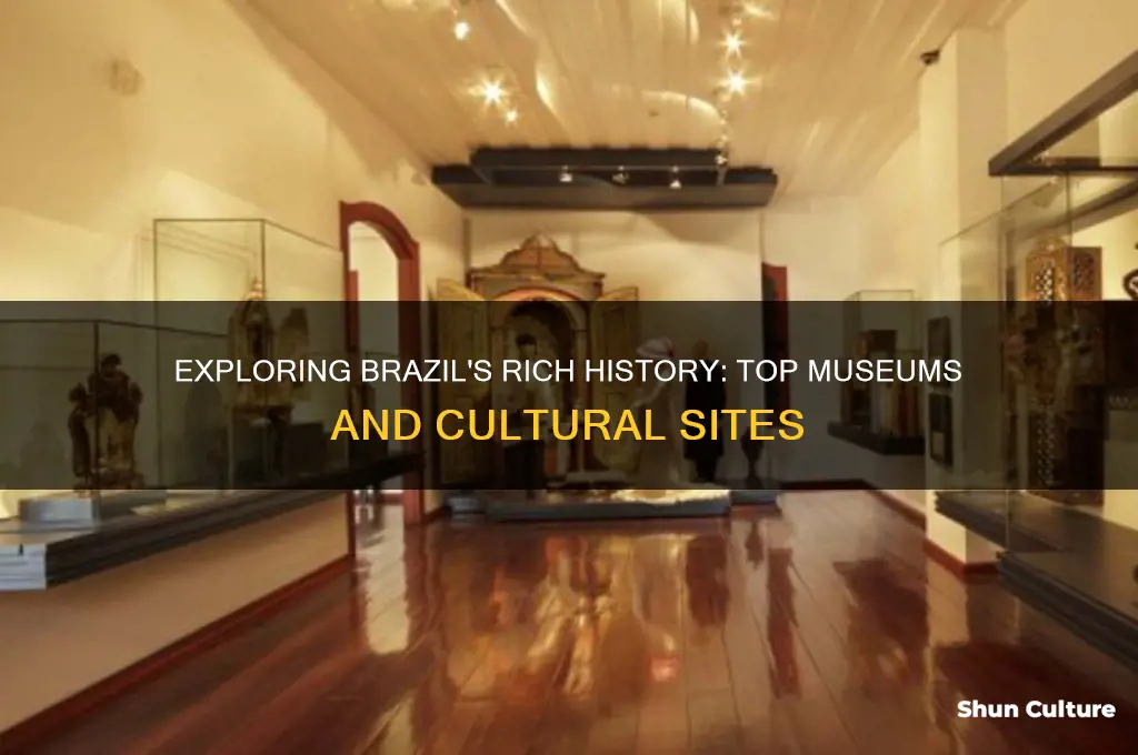 where can you learn about the history in brazil
