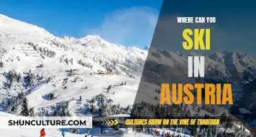 Best Austrian Ski Resorts: Top Destinations for Your Winter Vacation