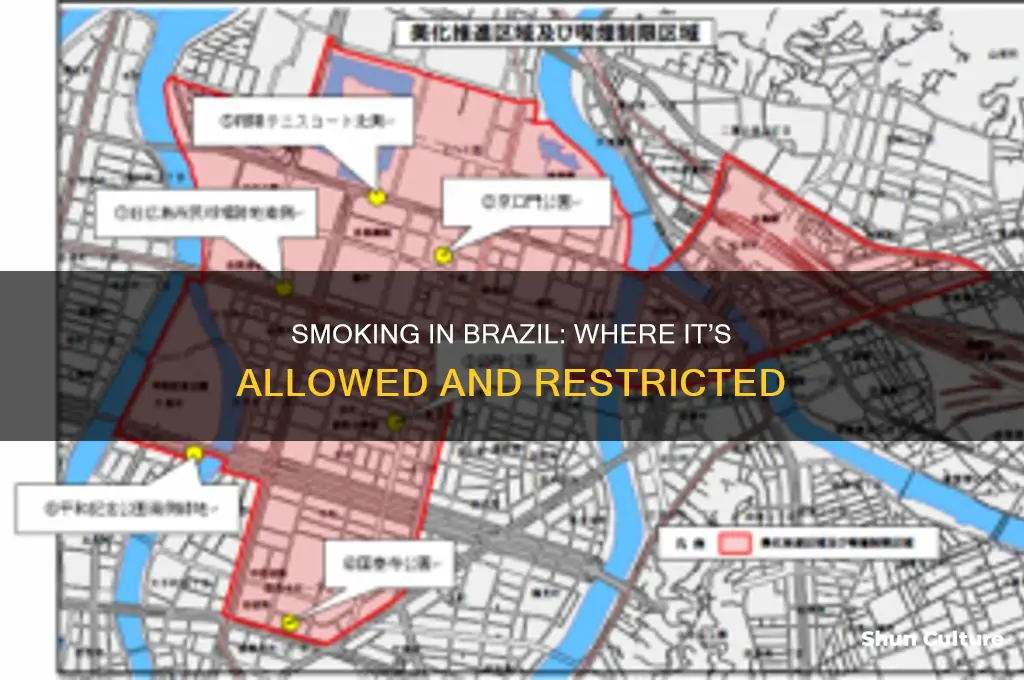 where can you smoke in brazil