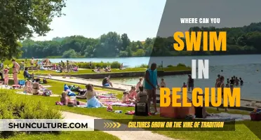 Discover Belgium's Hidden Gems: Top Spots for a Refreshing Swim