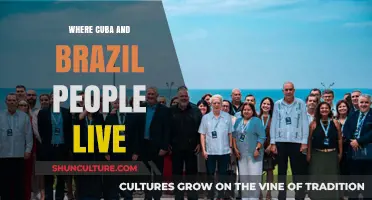 Exploring the Vibrant Homelands of Cuba and Brazil's Populations