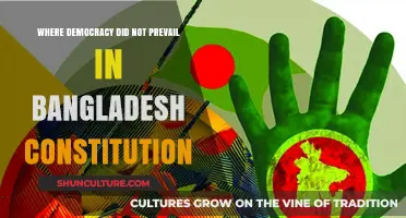 Democracy's Failure: Bangladesh Constitution's Unfulfilled Promises and Challenges