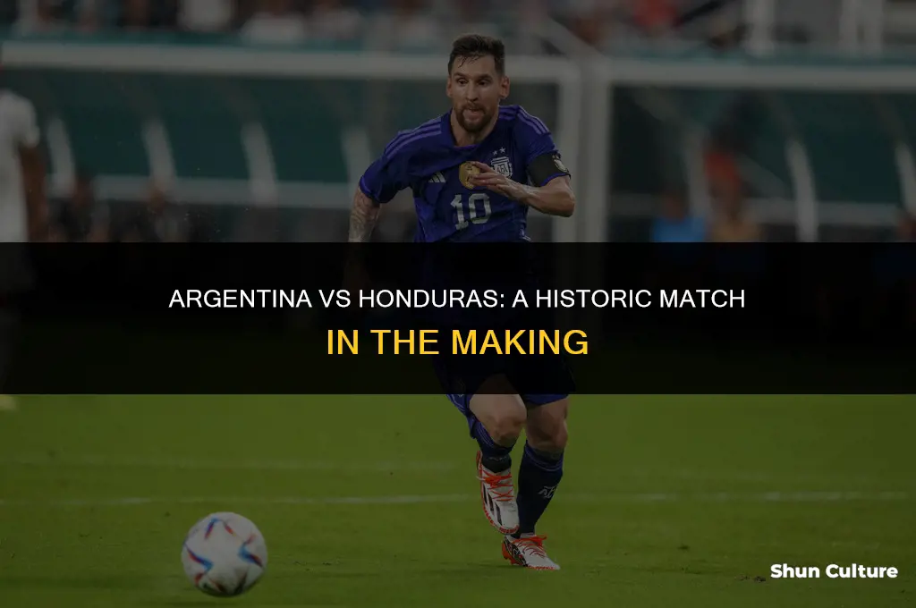 where did argentina vs honduras play