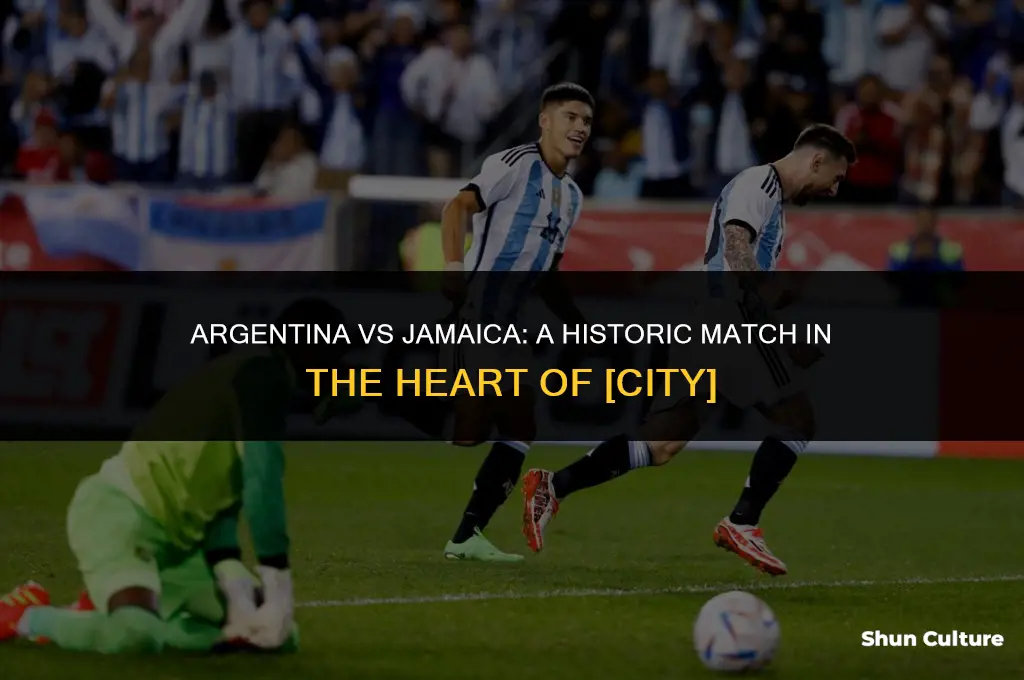 where did argentina vs jamaica play