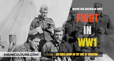 Australia's First World War Battle: Where Did the ANZACs Debut?