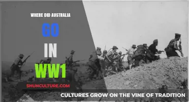 Australia's WW1 Journey: From Home Front to Global Battlefields