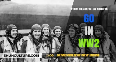 Australian Soldiers in WWII: Their Global Deployment and Battles