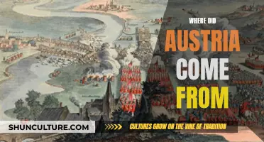 The Origin Story of Austria: A Historical Perspective