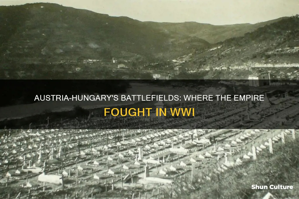 where did austria-hungary fight in ww1