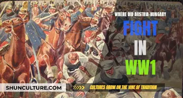 Austria-Hungary's WWI Battlefields: Where Empires Collapsed