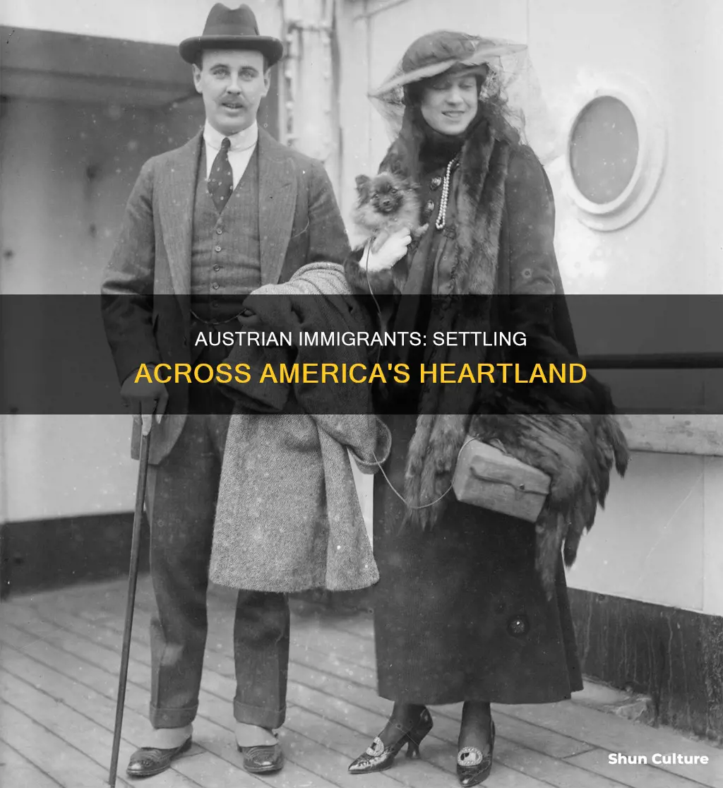 where did austrian immigrants settle in america