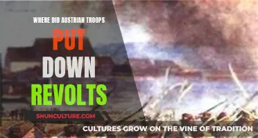 Austrian Troops: Revolts Quashed Across the Empire