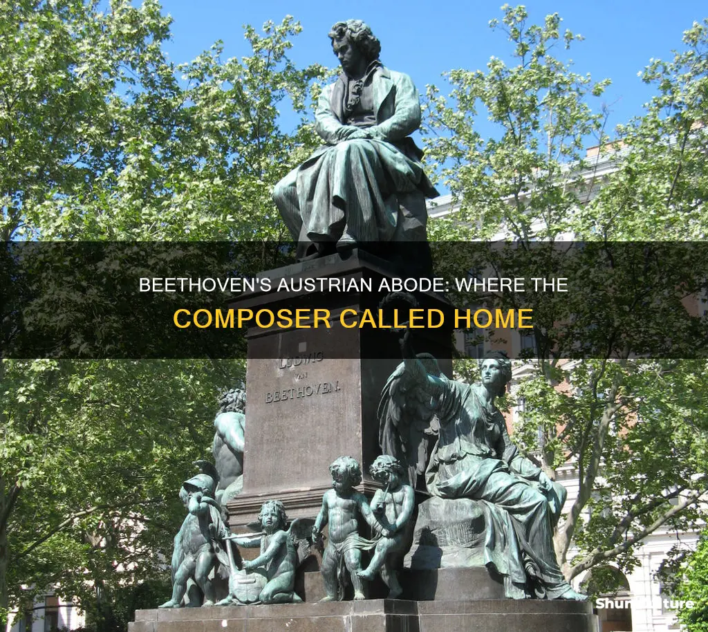 where did beethoven live in austria