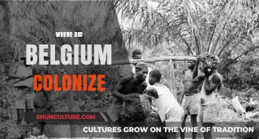 Exploring Belgium's Colonial Legacy: A Journey Through Time and Territories