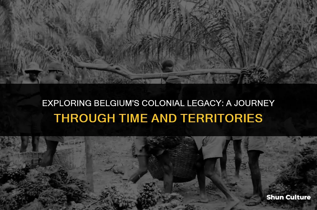 where did belgium colonize