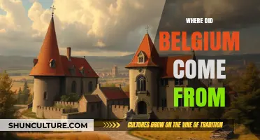 Unveiling Belgium's Origins: A Journey Through Time and History