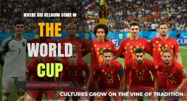 Belgium's Journey in the World Cup: A Historical Overview