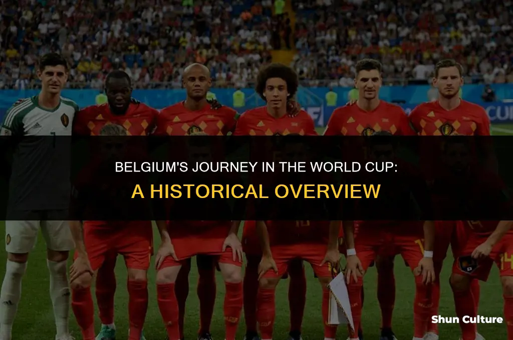 where did belgium come in the world cup