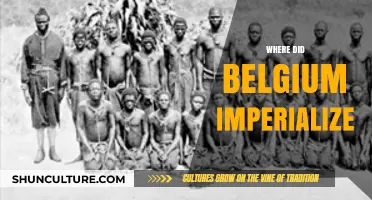 Belgium's Colonial Reach: A Historical Overview of Its Imperial Ambitions